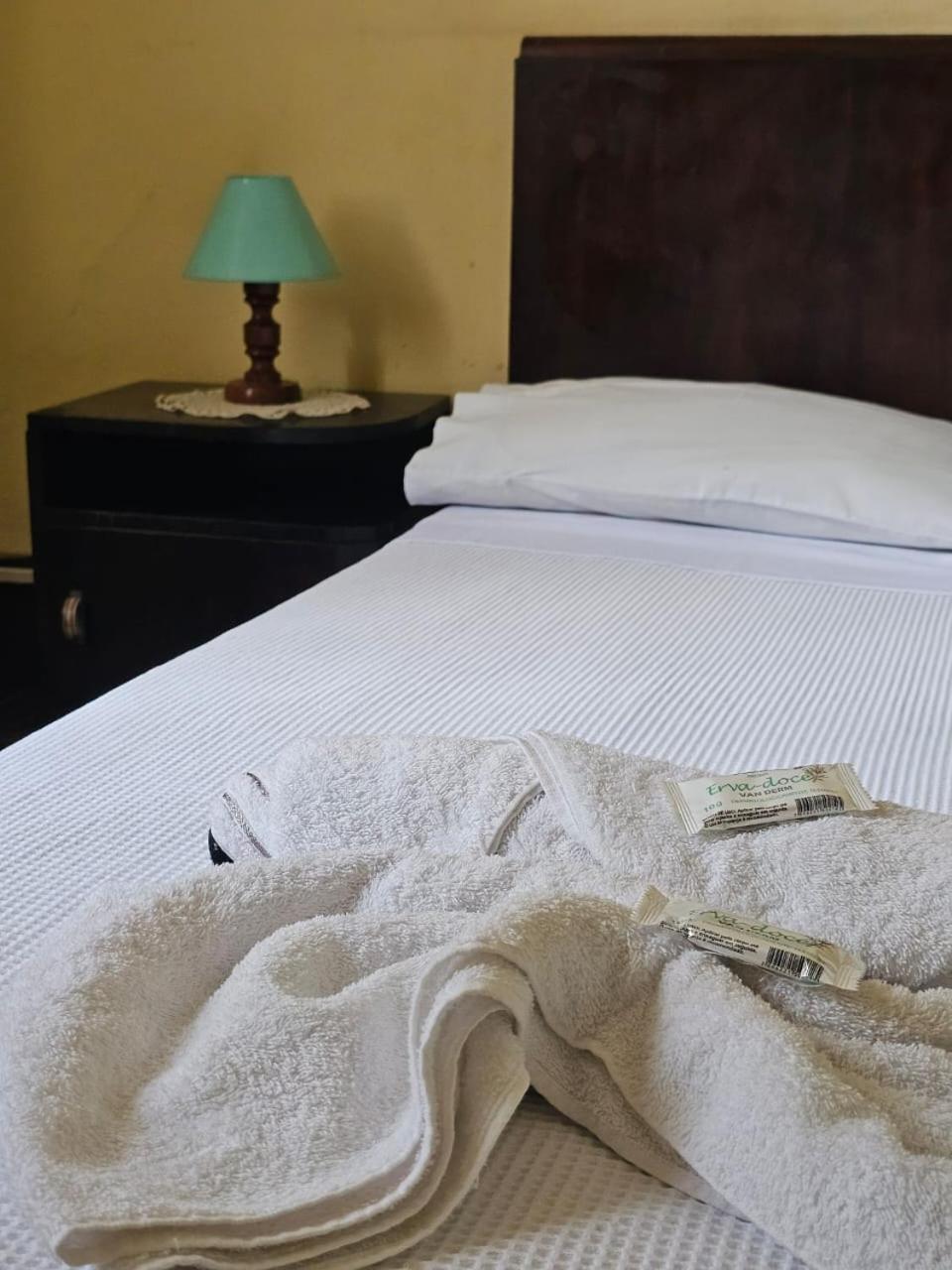 Varzea Palace Hotel Teresópolis Extérieur photo